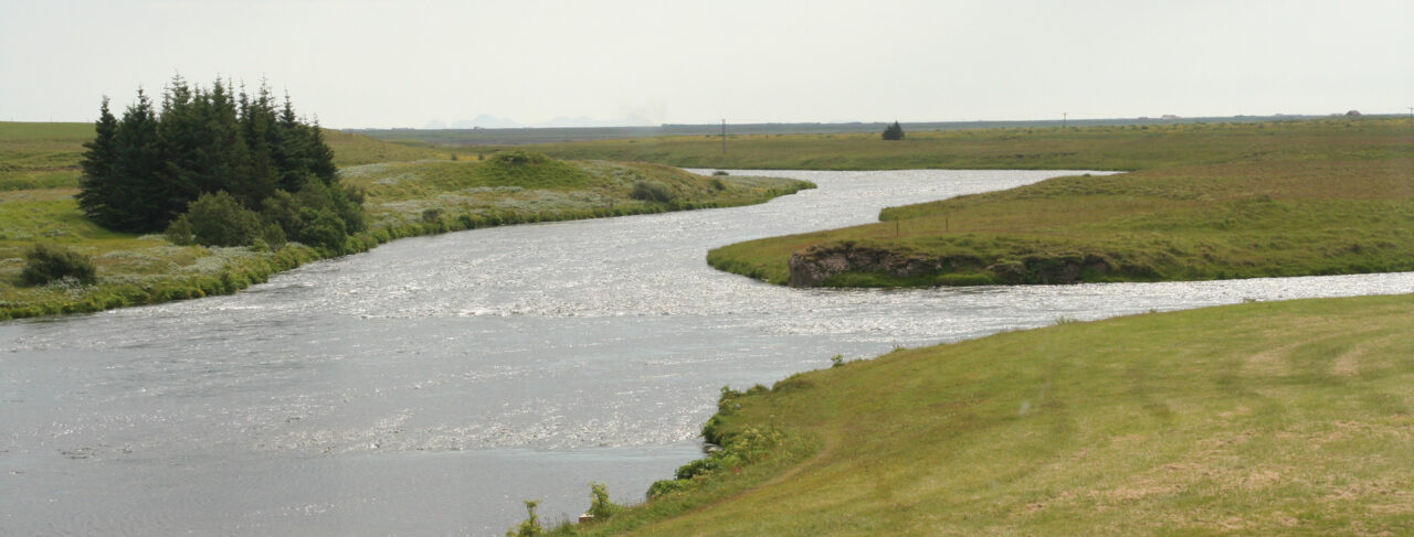 Fishing - Europe - Iceland - West Ranga