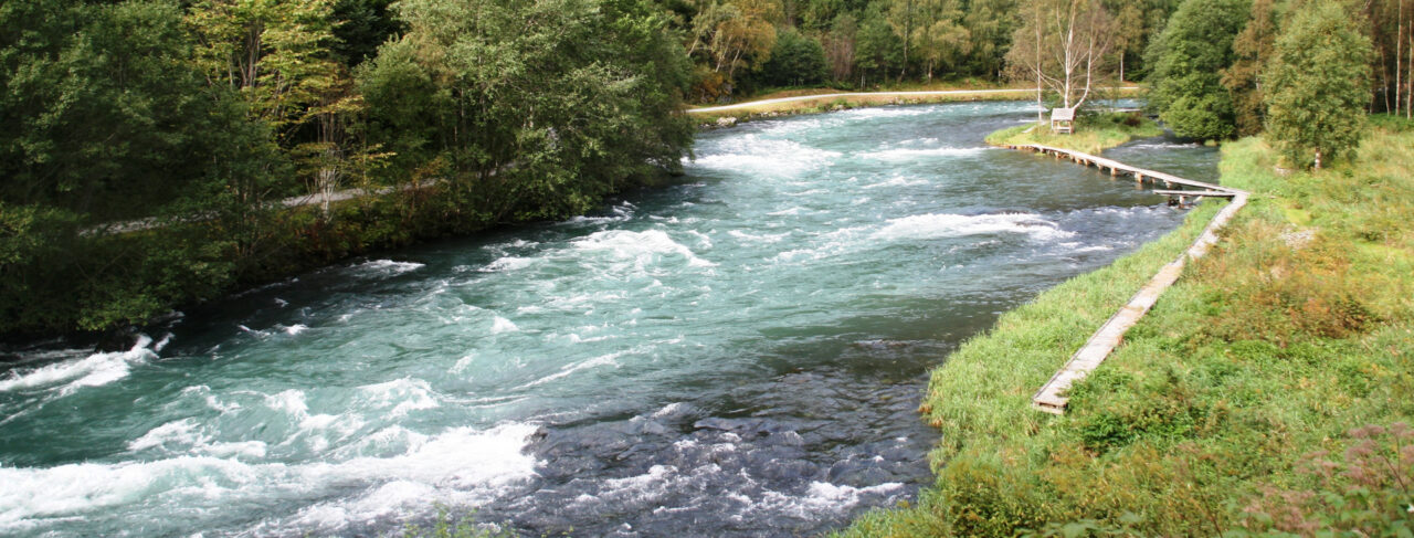 Fishing - Europe - Norway - Aroy