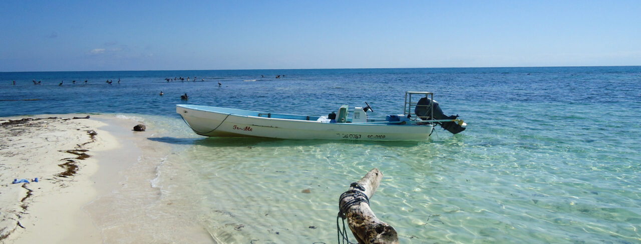 Fishing - Central & South America - Belize - Turtle Inn