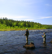 The Varzuga Review 2012