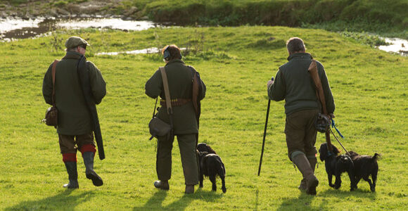 End of season report