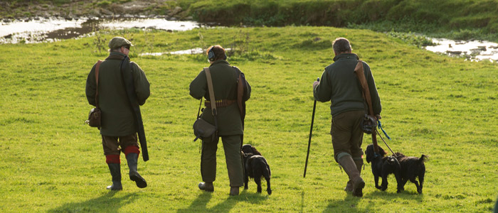 End of season report