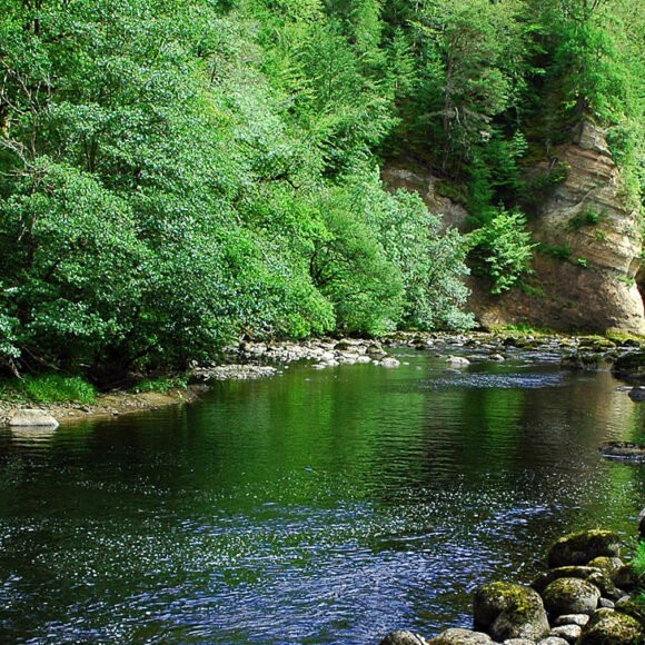 Fishing - Europe - Scotland - Novar Estate