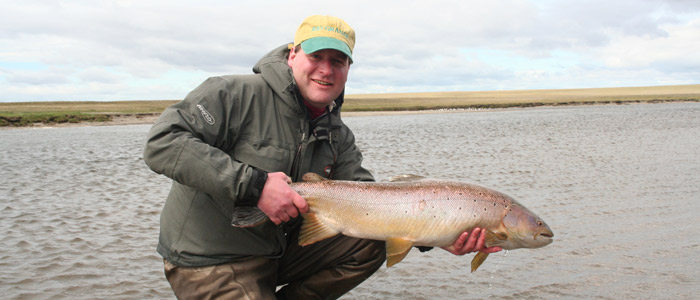 Available Rods for TDF in 2014