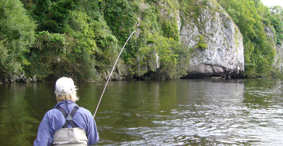 James Dent reports on a recent trip to Ireland