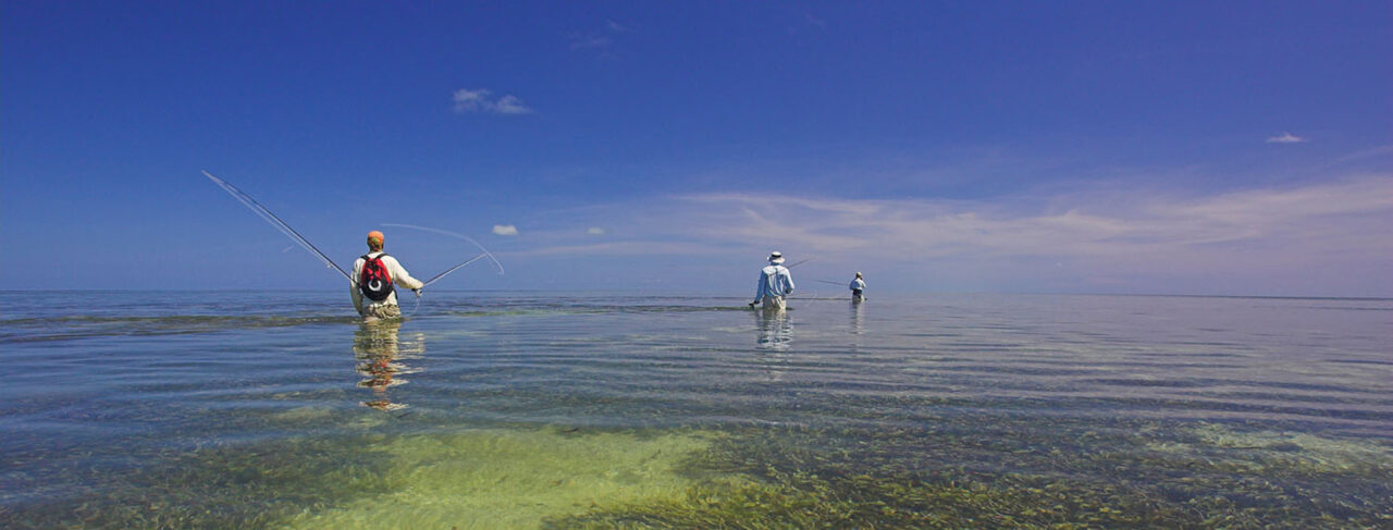 Fishing - North America - Mexico - Playa Blanca
