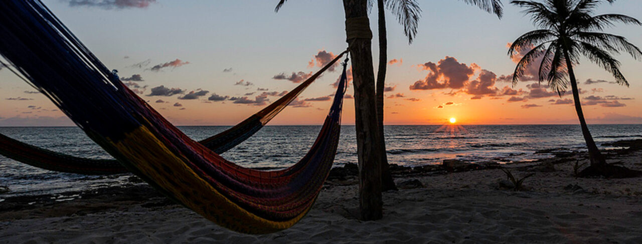 Fishing - North America - Mexico - Casa Blanca