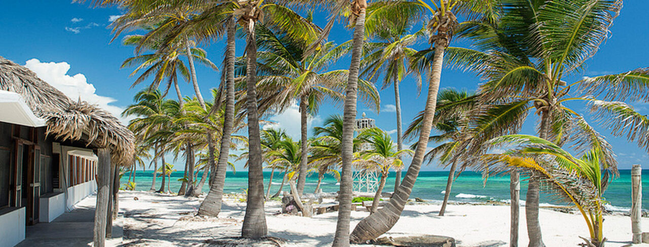 Fishing - North America - Mexico - Casa Blanca