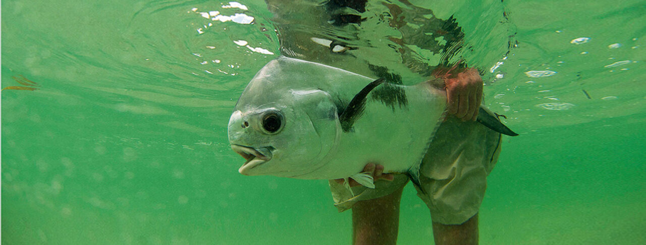 Fishing - North America - Mexico - Playa Blanca