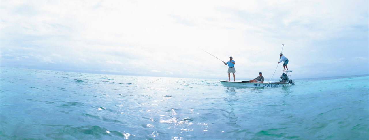 Fishing - North America - Mexico - Casa Blanca