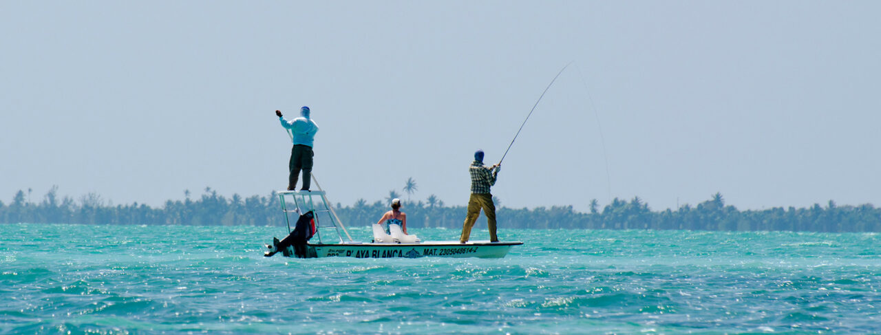 Fishing - North America - Mexico - Playa Blanca