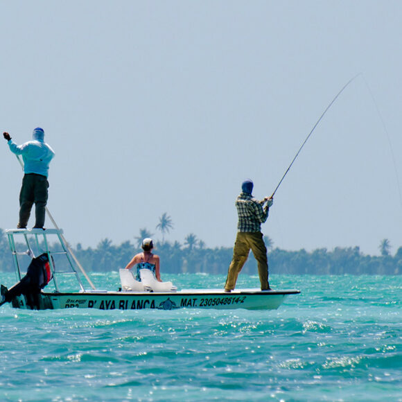 Fishing - North America - Mexico - Playa Blanca