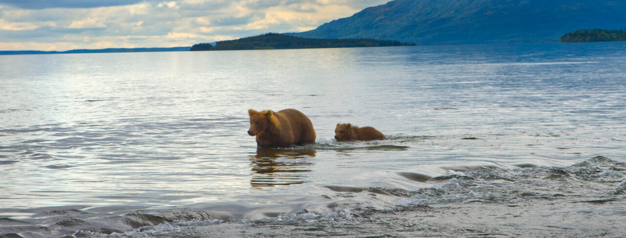 Fishing - North America - Usa - Alaska Mission Lodge