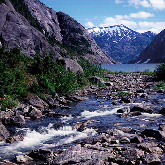 Fishing - North America - Usa