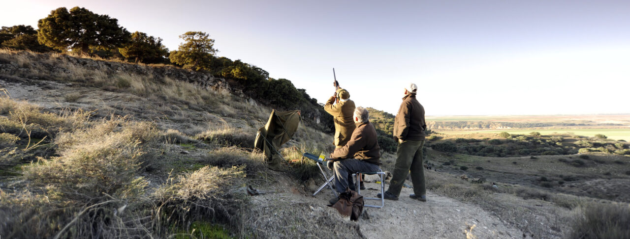 Shooting - Europe - Spain - Ventosilla