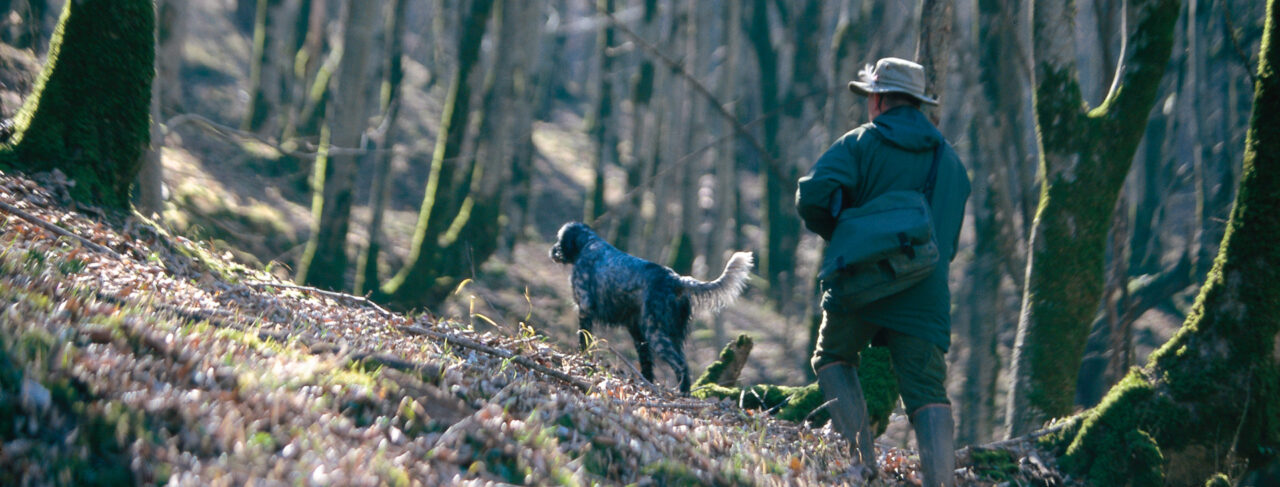 Shooting - Europe - Ireland - Delphi Lodge