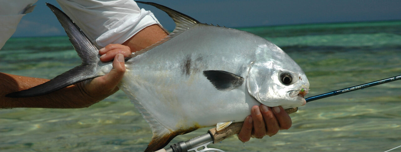 Fishing - Caribbean - Bahamas - H20 Bonefishing