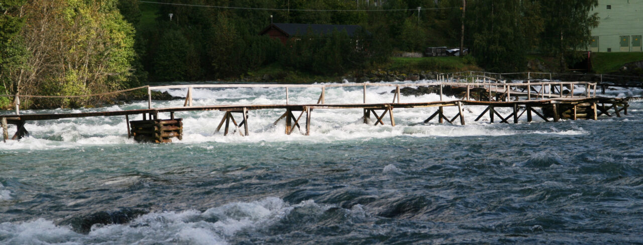 Fishing - Europe - Norway - Aroy