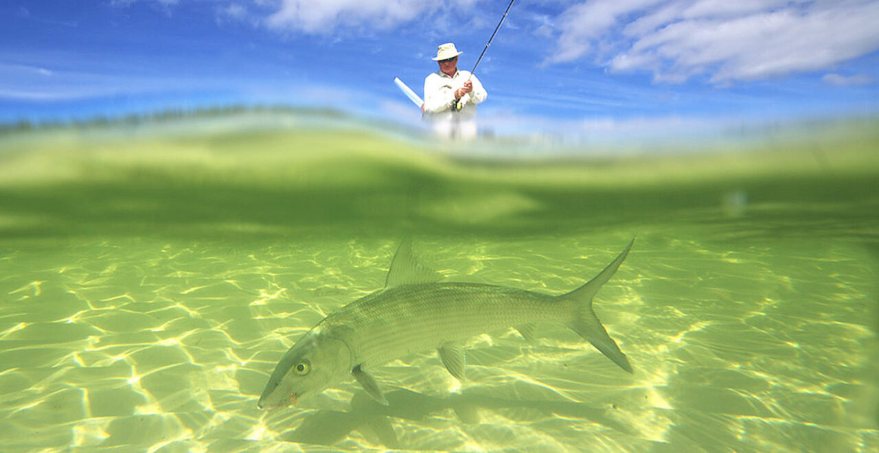 Fishing - Caribbean - Bahamas
