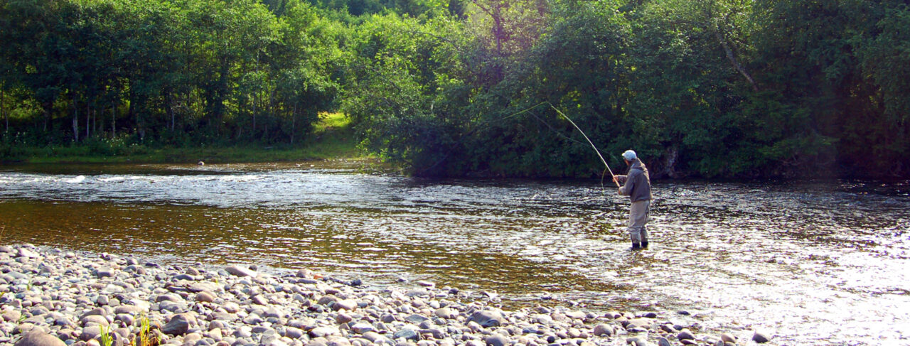 Fishing - Europe - Norway - Orkla