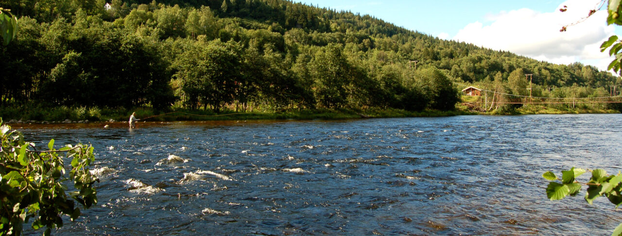 Fishing - Europe - Norway - Orkla