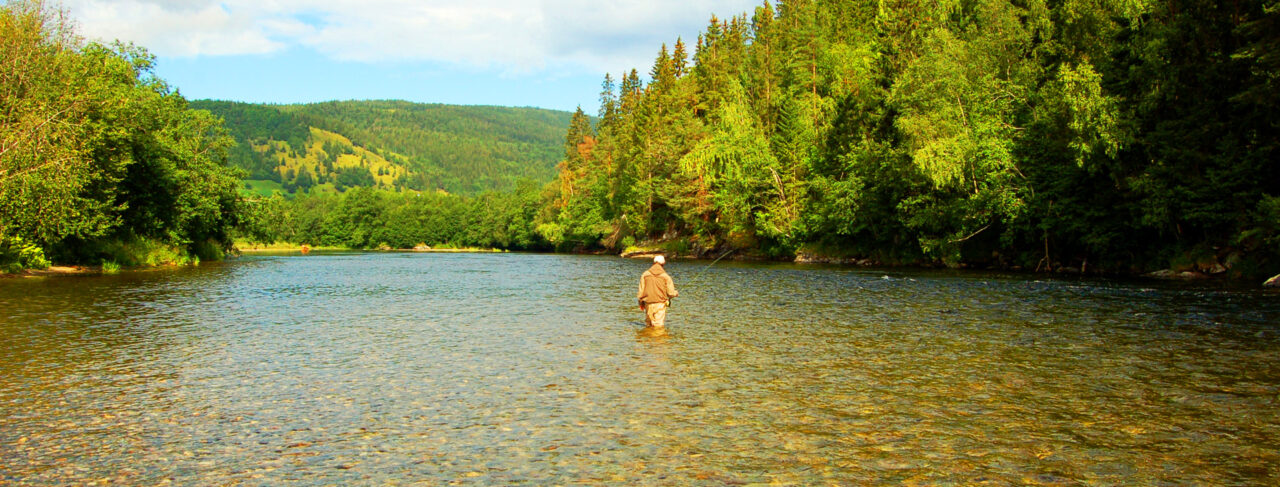 Fishing - Europe - Norway - Orkla
