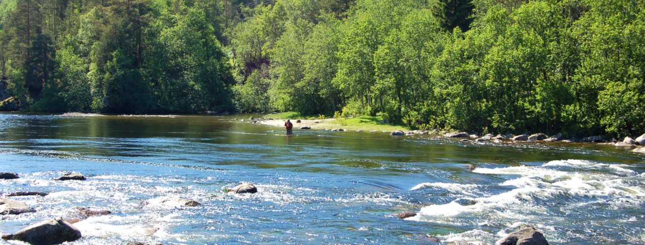 Fishing - Europe - Norway - Orkla