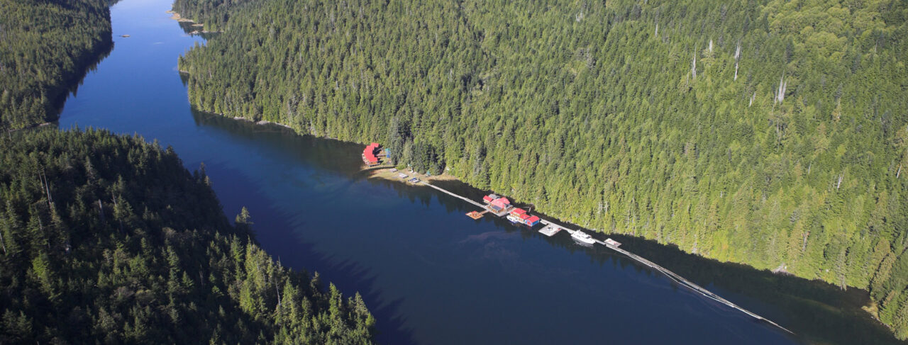 Fishing - North America - Canada - Nimmo Bay