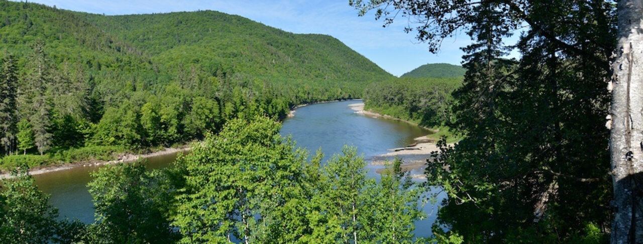 Fishing - North America - Canada - Salmon Lodge