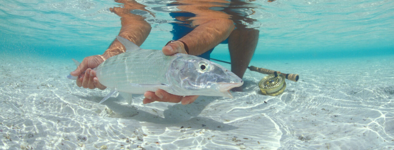 Fishing - Central & South America - Belize - Turneffe Flats