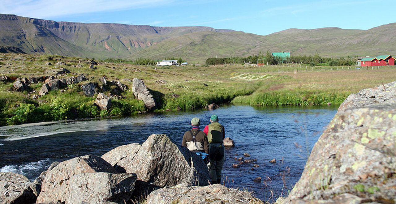 Fishing - Europe - Iceland