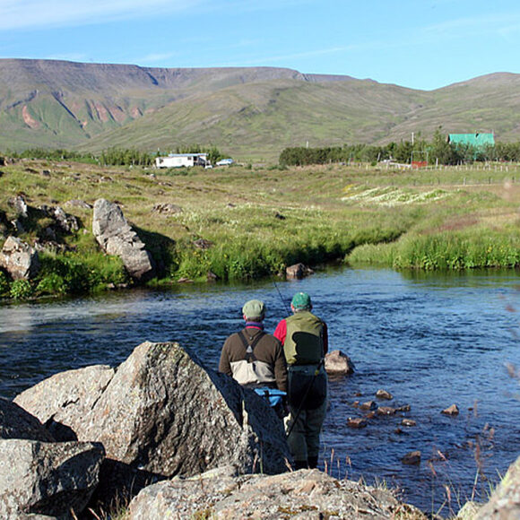 Fishing - Europe - Iceland
