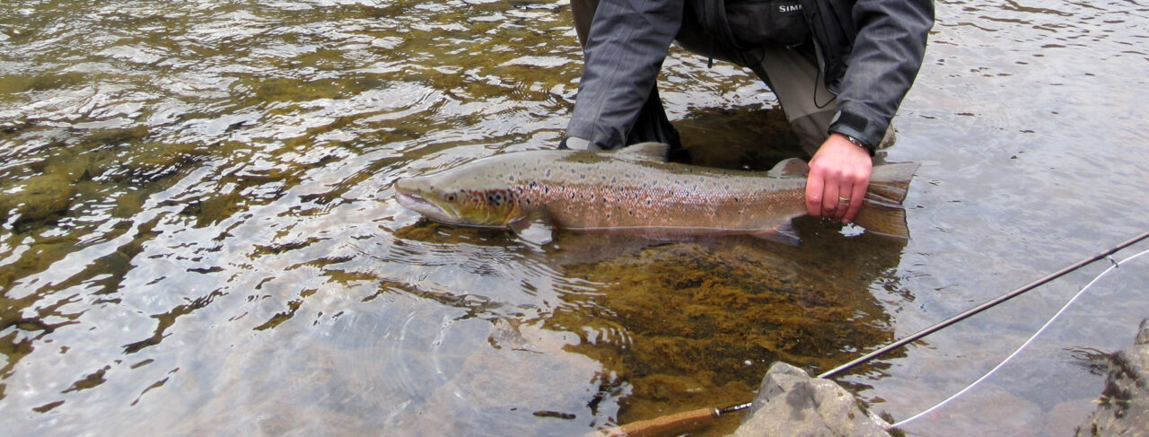 Fishing - Europe - Iceland - Vididalsa