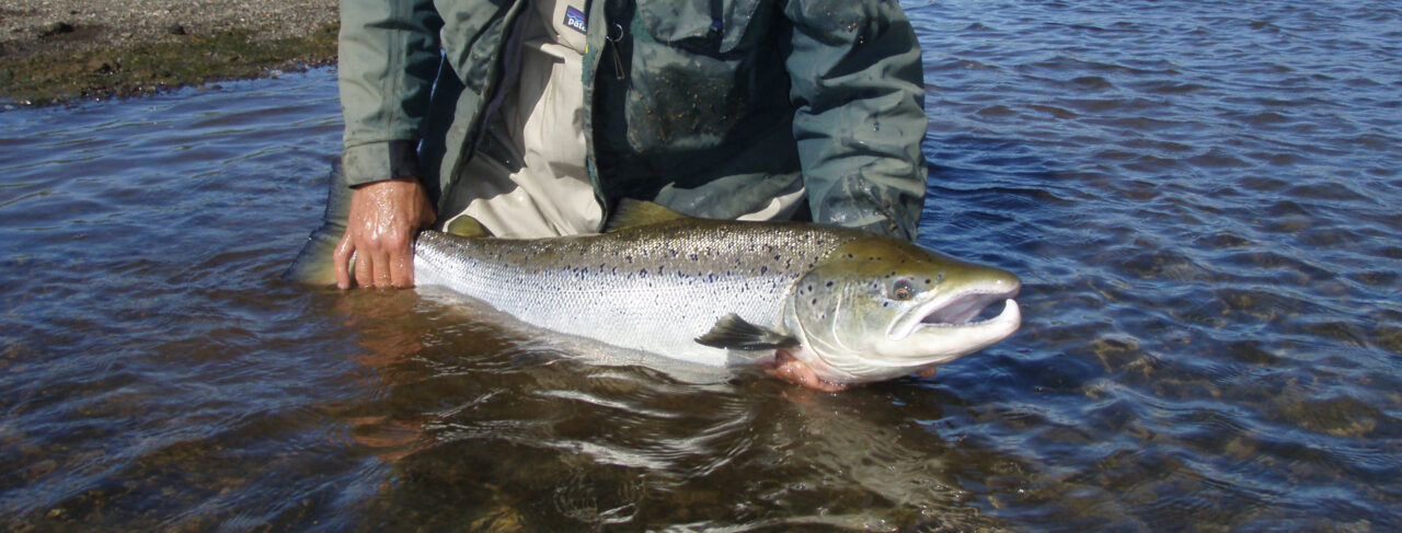 Fishing - Europe - Iceland - Vididalsa