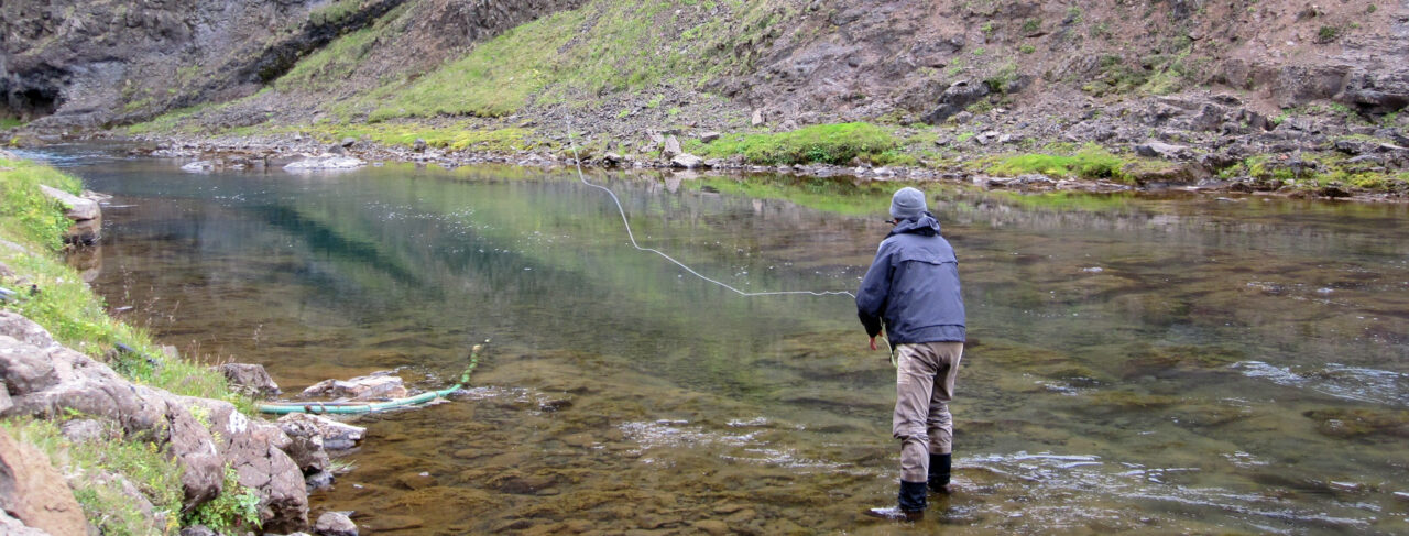 Fishing - Europe - Iceland - Vididalsa