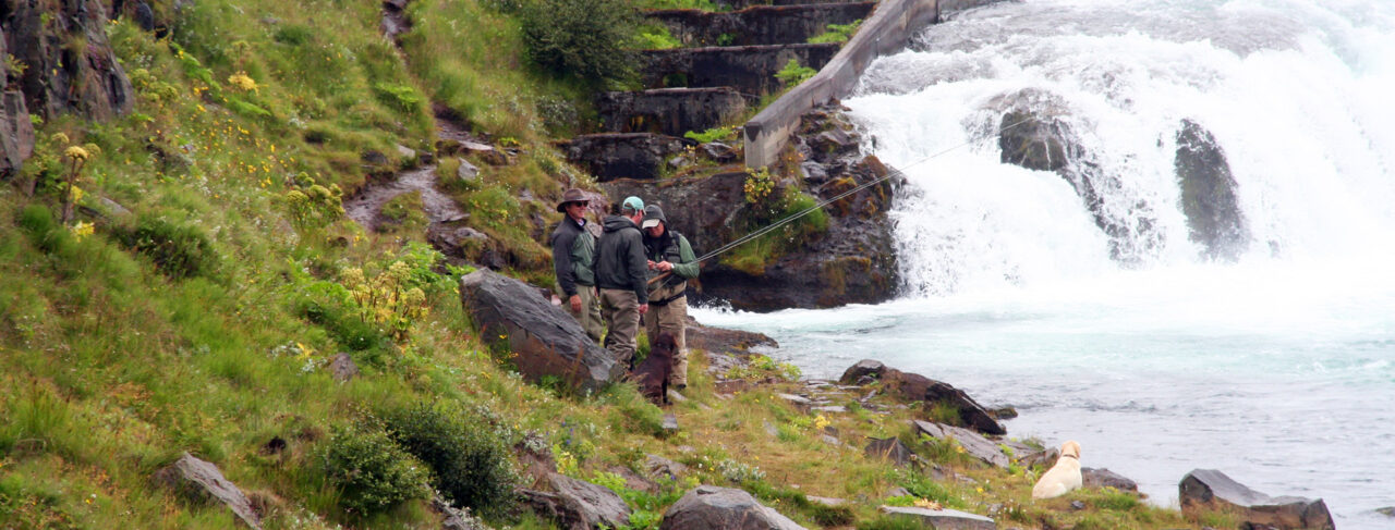 Fishing - Europe - Iceland - West Ranga
