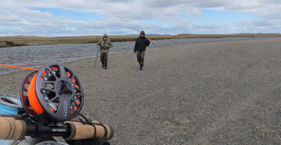 All our anglers landed fish over 20lbs in TDF last week