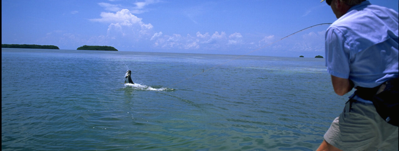 Fishing - Central & South America - Belize - Turtle Inn