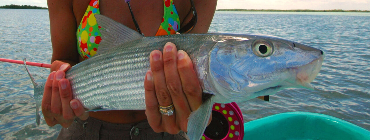 Fishing - Central & South America - Belize - Turtle Inn