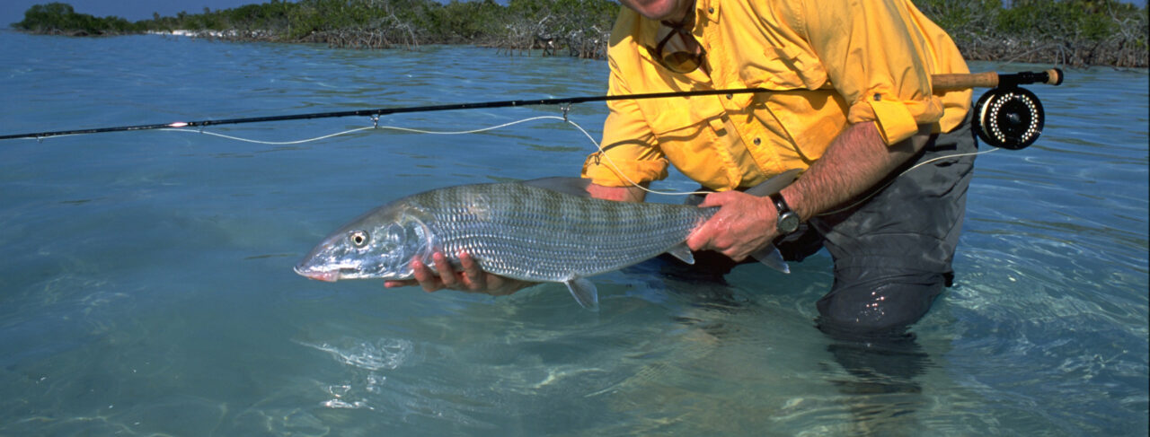 Fishing - Central & South America - Belize - Turtle Inn