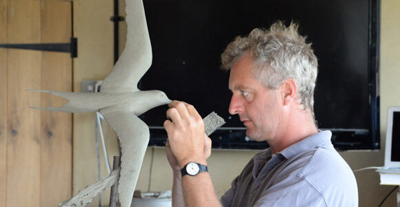 Hamish Mackie's new Arctic Tern