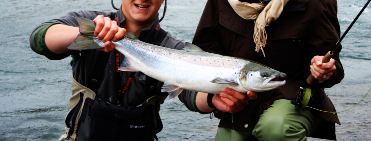 Fishing - Europe - Iceland - Laxa In Kjos