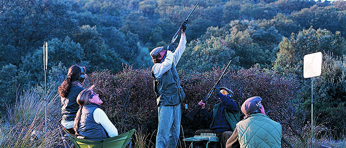 Hannah Treliving reports on Spain