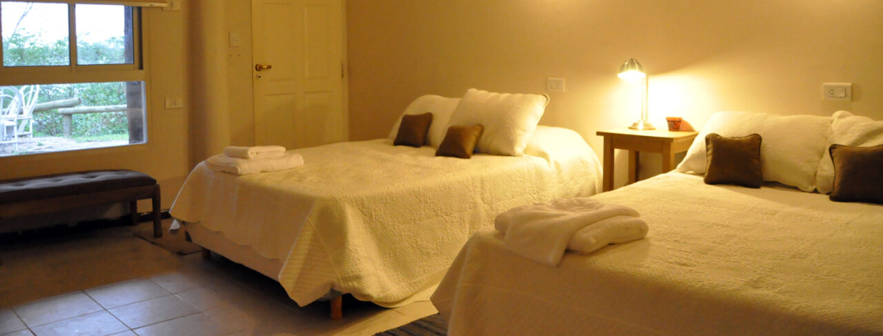 Fishing - Central & South America - Argentina - Amokagny Dorado