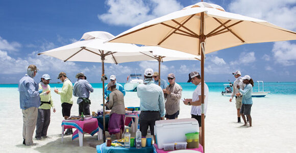 A Flurry of Triggers, Monster Yellowfin and Wahoo in Alphonse!