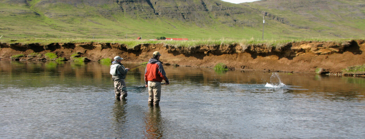 Fishing - Europe - Iceland - Grimsa