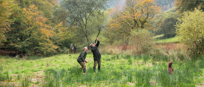 The shooting season so far...