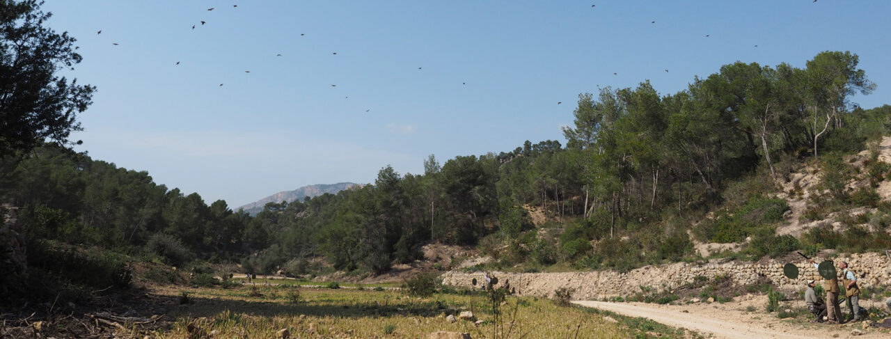 Shooting - Europe - Spain - Las Barracas Mallorca