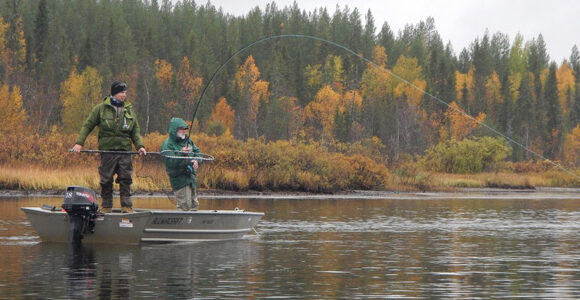 Roxtons are delighted to offer the fabled Umba river