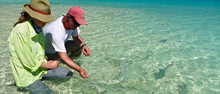 A non-fisher's viewpoint of Alphonse Island